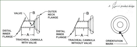 speakez-diagram